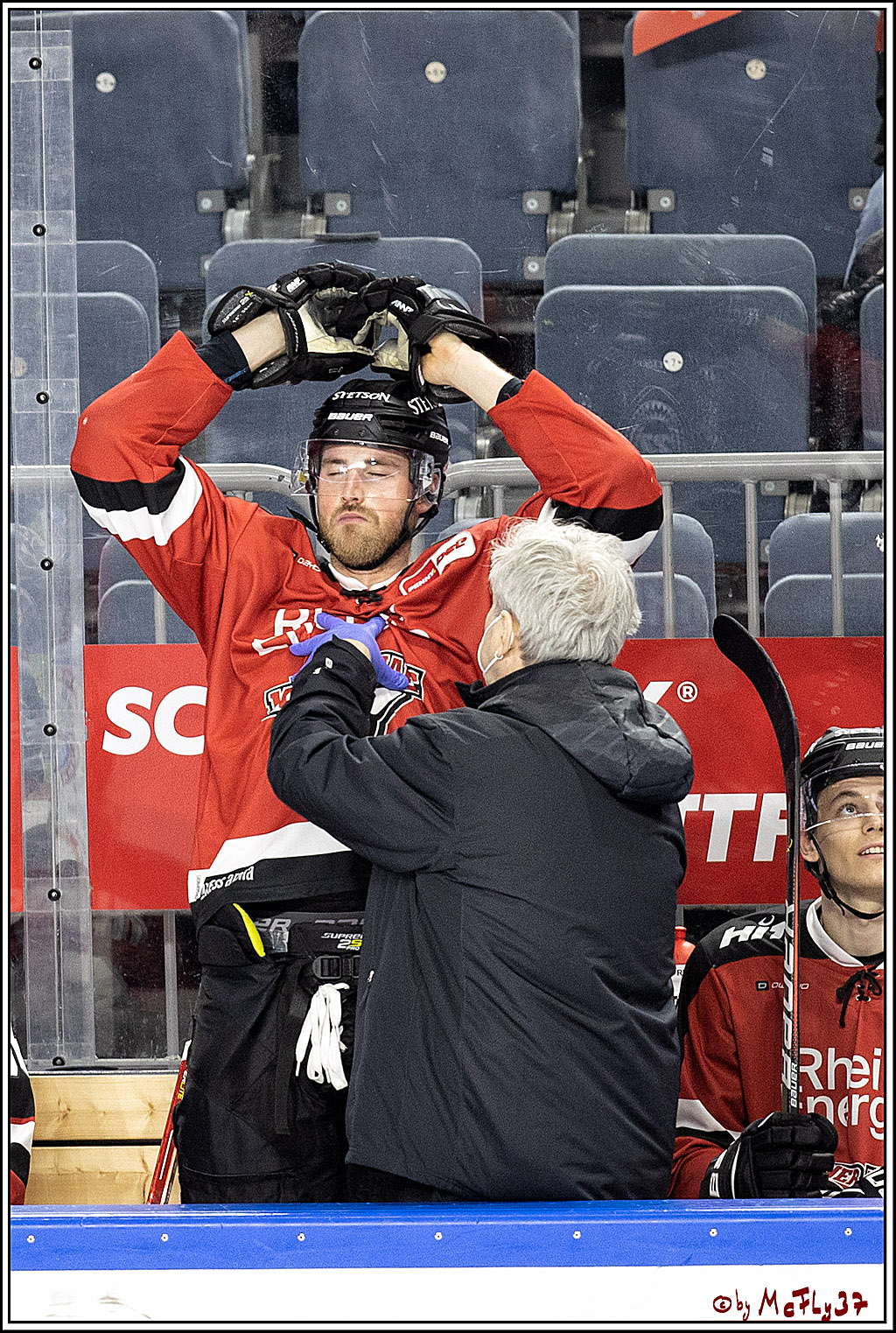 PENNY DEL;  Koelner Haie - Iserlohn Roosters; Koeln, 20.02.2022